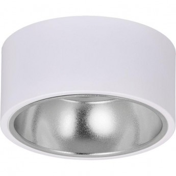 Накладной потолочный светильник IEK Lighting 4017 под лампу gx53 белый/хром Накладной потолочный светильник IEK Lighting 4017 под лампу gx53 белый/хром